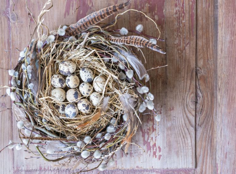 ปากเกร็ด-เมืองทอง: เช็คอินที่เที่ยวสุดปัง! อัปเดตเทรนด์แต่งบ้าน สร้างมุมโปรดสุดชิค